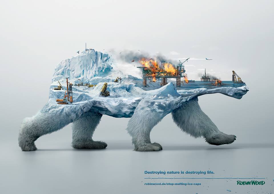 ＃ 破壞自然也正在摧毀生命： 動物家園 呼籲人們關注環境災害 1