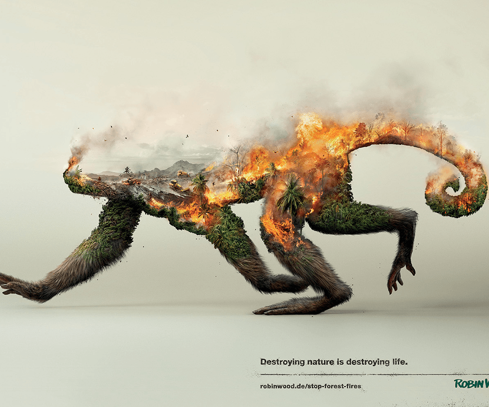＃ 破壞自然也正在摧毀生命： 動物家園 呼籲人們關注環境災害 5