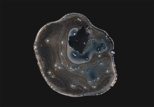 ＃ 顯微鏡下的毒品原來這麼美：荷蘭攝影師 Maurice Mikkers 的 毒品結晶 系列作品 12