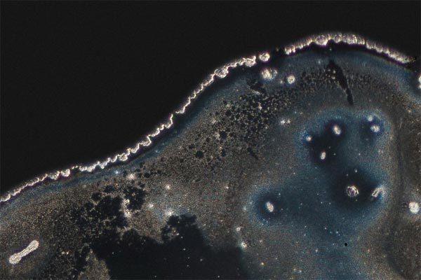 ＃ 顯微鏡下的毒品原來這麼美：荷蘭攝影師 Maurice Mikkers 的 毒品結晶 系列作品 13