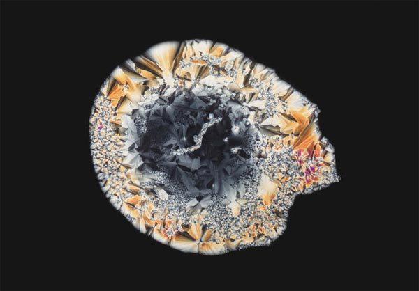＃ 顯微鏡下的毒品原來這麼美：荷蘭攝影師 Maurice Mikkers 的 毒品結晶 系列作品 10