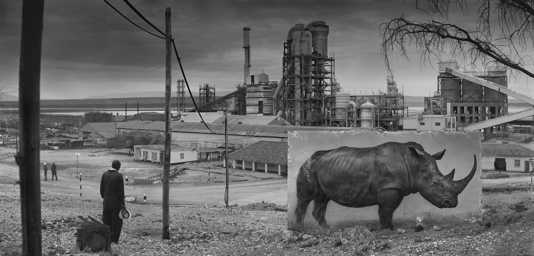 ＃ 攝影師 Nick Brandt 透過黑白作品告訴你：Inherit The Dust 系列 瀕危動物的哀號 2