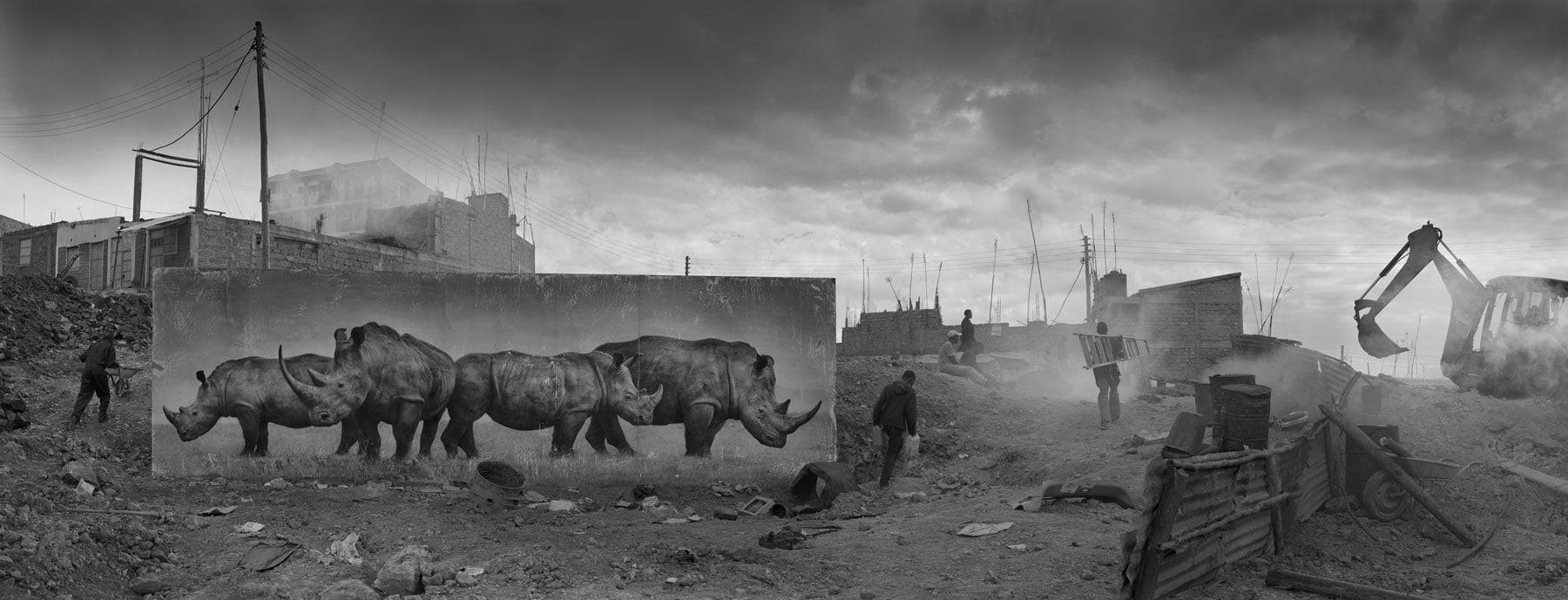 ＃ 攝影師 Nick Brandt 透過黑白作品告訴你：Inherit The Dust 系列 瀕危動物的哀號 17