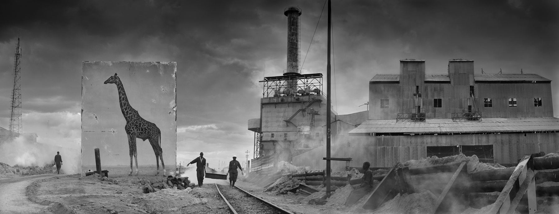 ＃ 攝影師 Nick Brandt 透過黑白作品告訴你：Inherit The Dust 系列 瀕危動物的哀號 13