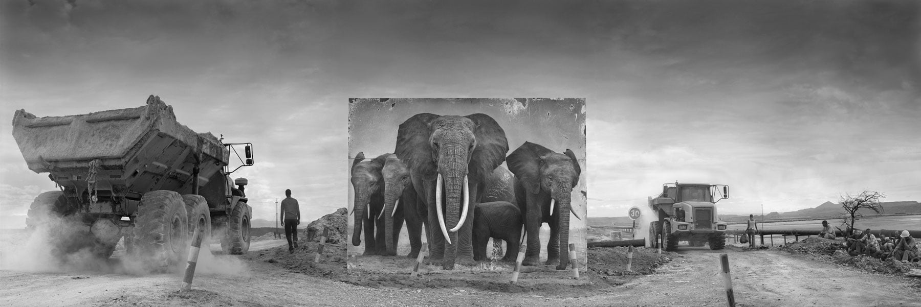 ＃ 攝影師 Nick Brandt 透過黑白作品告訴你：Inherit The Dust 系列 瀕危動物的哀號 11