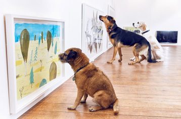 ＃ 不是只有人類可以看展！：世界上第一個給狗狗看的藝術展《Play More》