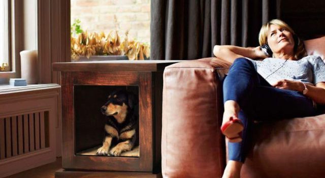 # 狗打禪：Zen Crate給焦慮狗狗專用的小房子。