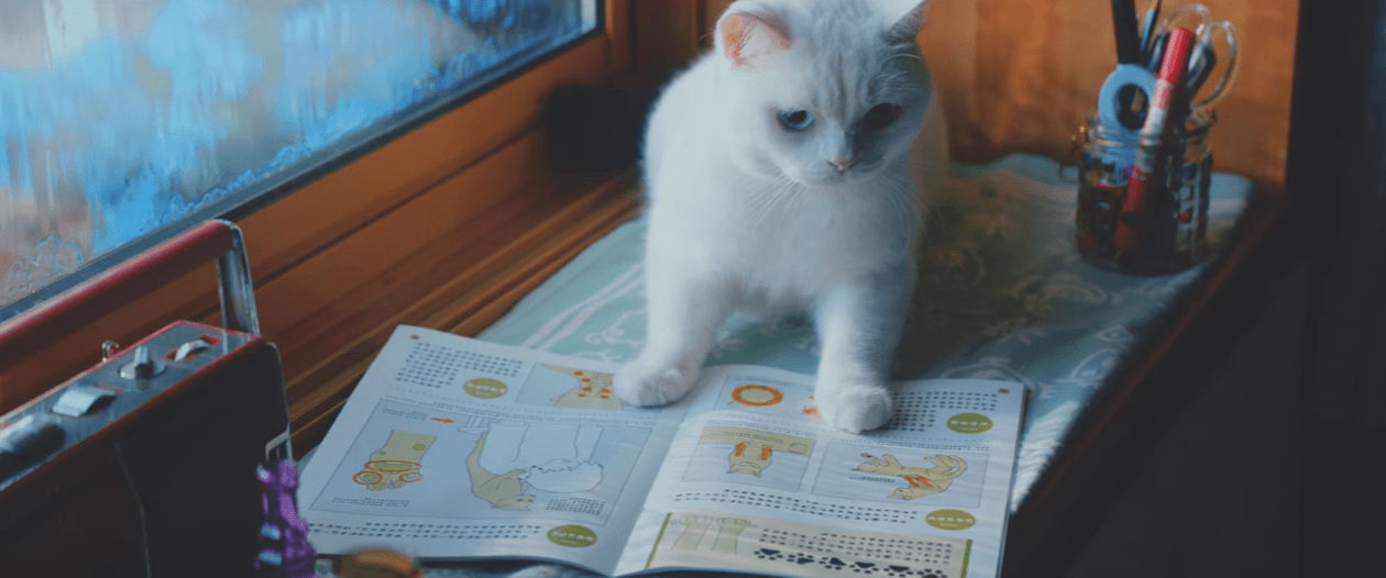 # 報恩前的學習：日本補習機構U-Can「貓的報恩」影片感動百萬人 2