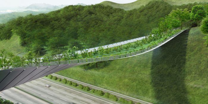 #解決了隔絕兩地動物的公路：南韓的生態橋