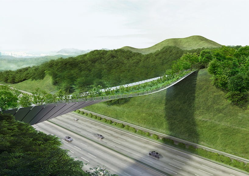 #解決了隔絕兩地動物的公路：南韓的生態橋 21