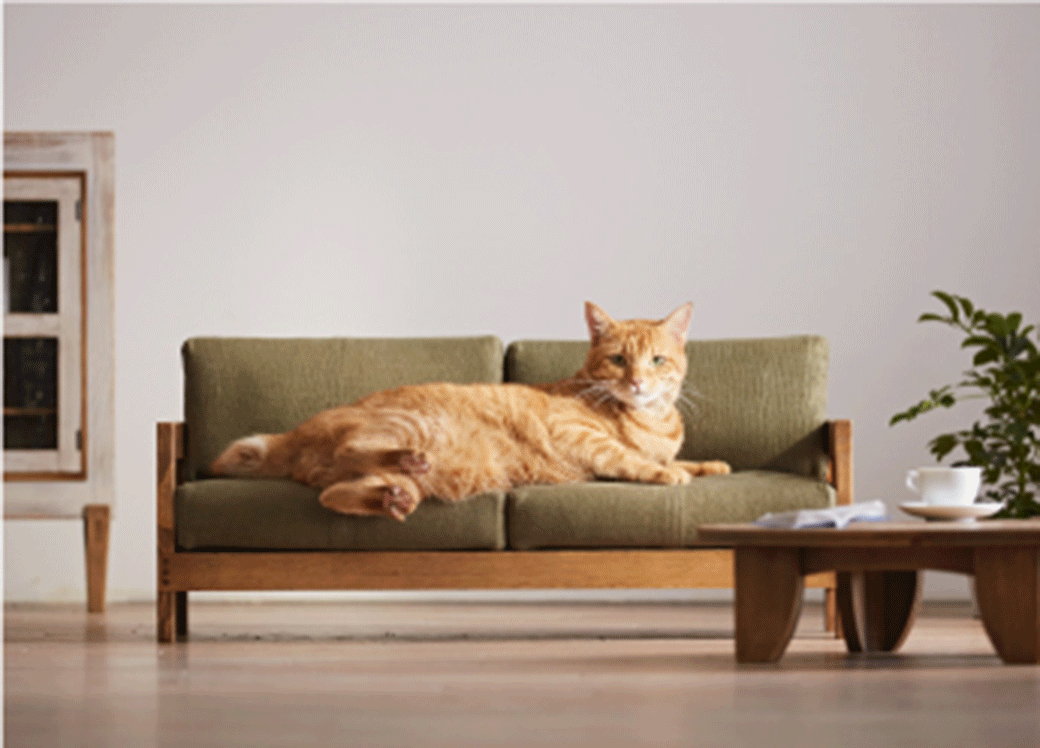 # 貓奴必備：為貓而設計的迷你傢俱 8