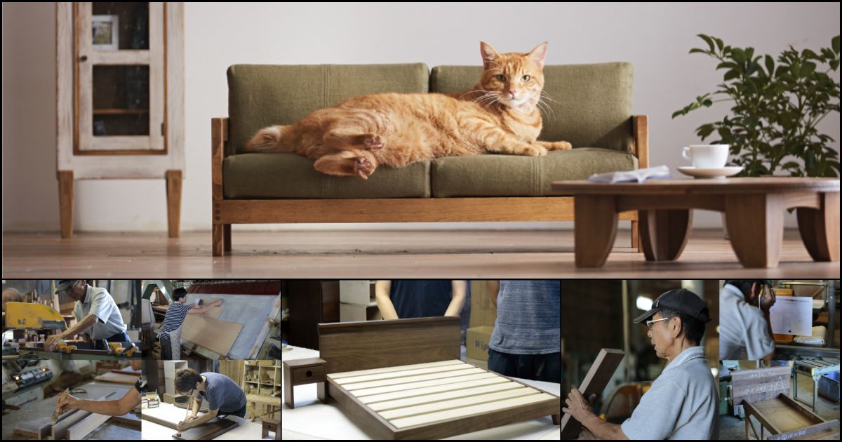 # 大川家具：打造一系列專屬於「貓」的傢俱 3