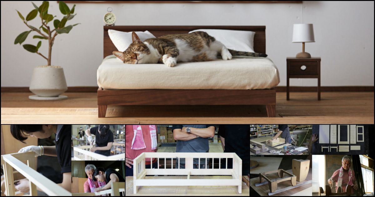# 大川家具：打造一系列專屬於「貓」的傢俱 2