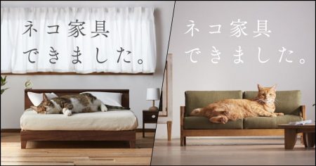 # 大川家具：打造一系列專屬於「貓」的傢俱