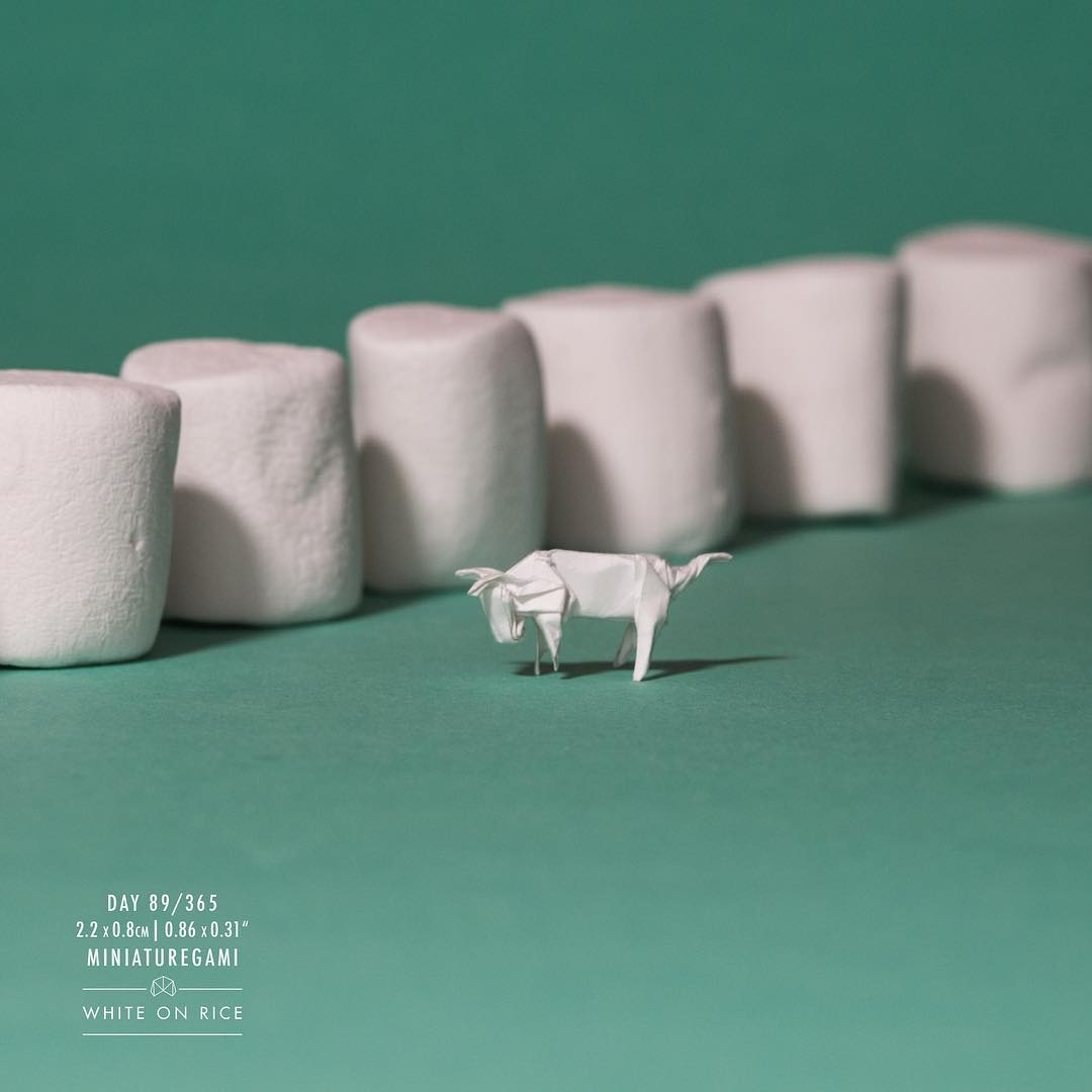 # A 365 day origami Instagram project：帶來滿滿療癒感的摺紙藝術照 1