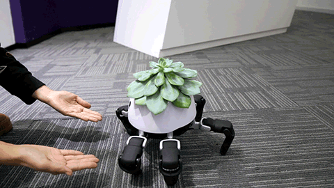 # 會走路的盆栽：植物與仿生機器人的結合 4