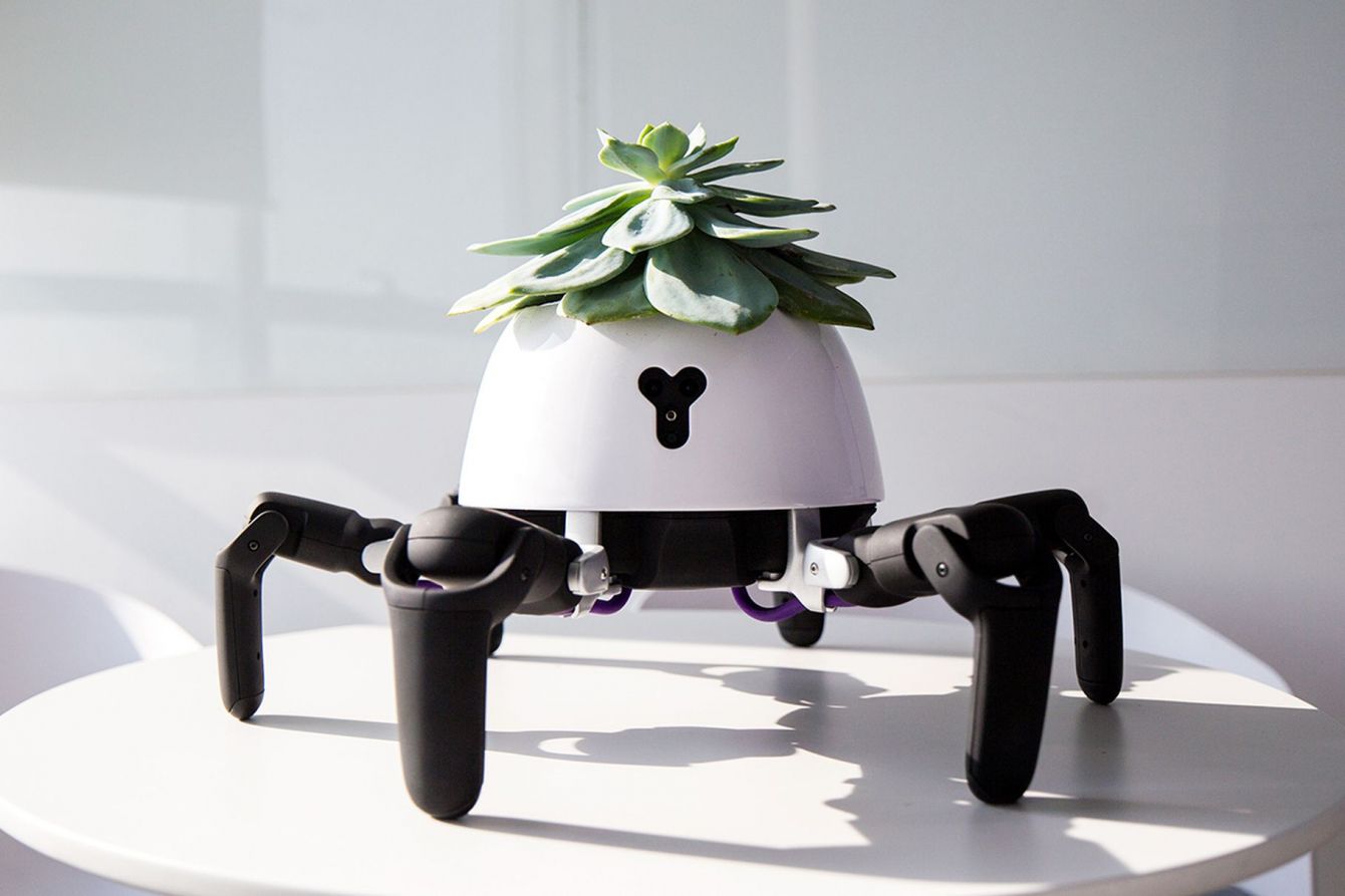 # 會走路的盆栽：植物與仿生機器人的結合 1