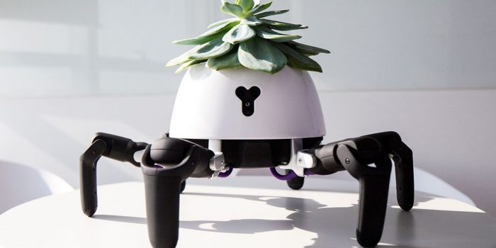 # 會走路的盆栽：植物與仿生機器人的結合