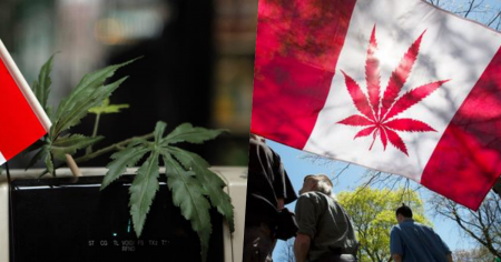 # 世界第二：加拿大大麻合法化，成年民眾即可至商店購買！