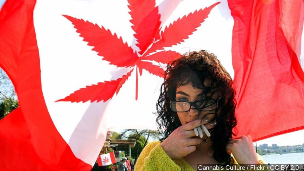 # 世界第二：加拿大大麻合法化，成年民眾即可至商店購買！ 3