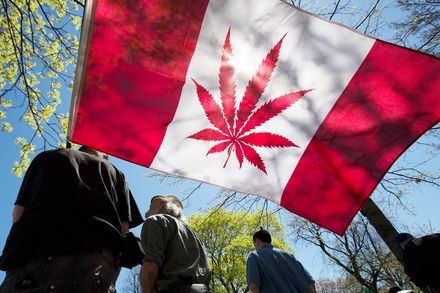 # 世界第二：加拿大大麻合法化，成年民眾即可至商店購買！ 1