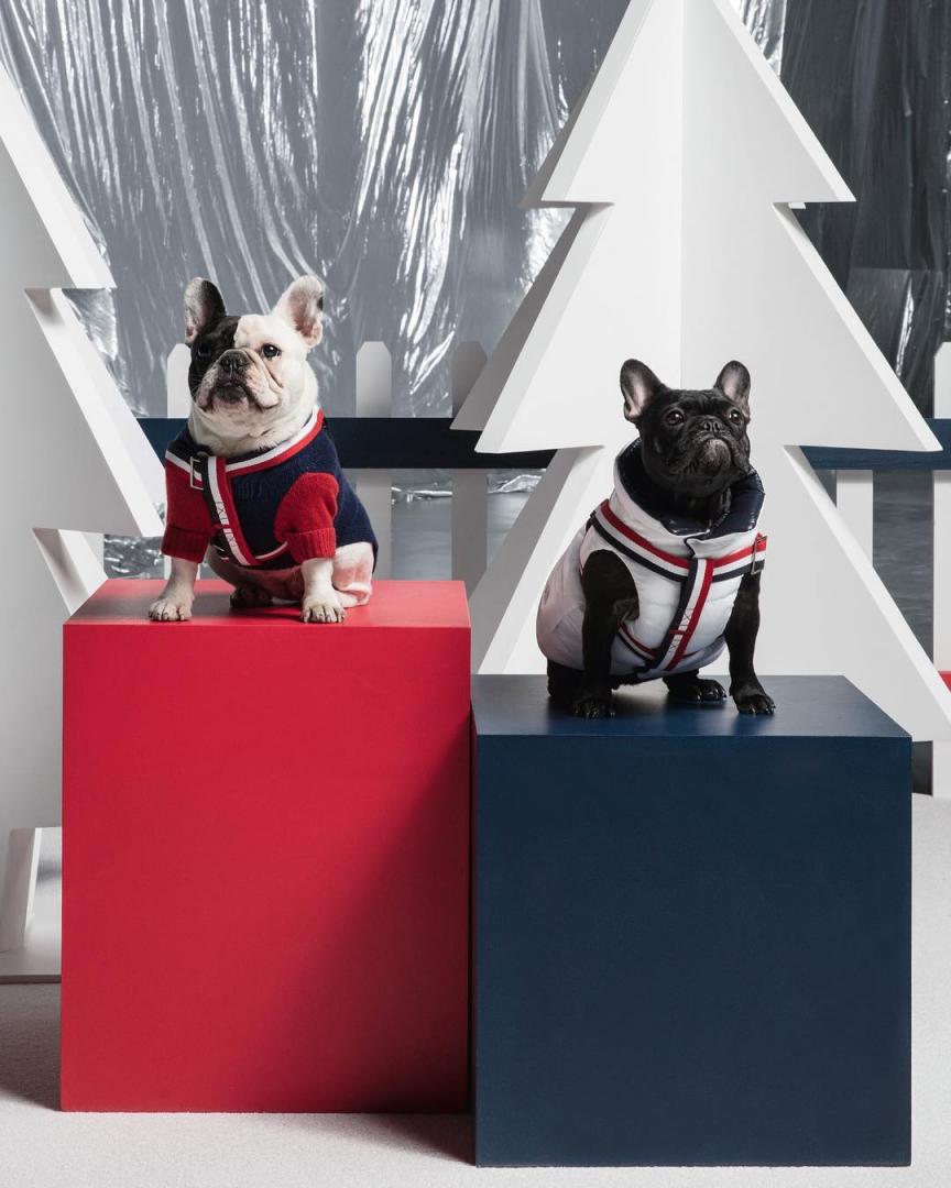 # Moncler × Poldo Dog Couture ：攜手為狗兒打造高級羽絨服 6