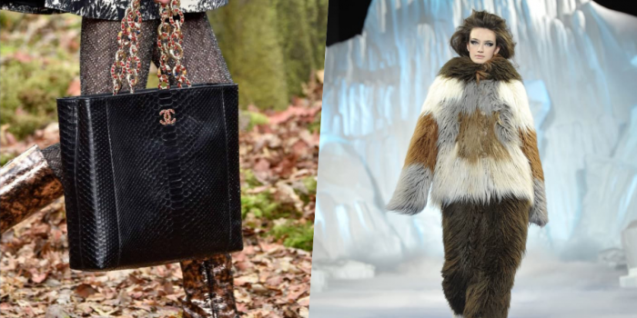 # 商品陸續下架：法國奢侈品牌 Chanel 決定禁用皮草及野生動物皮革
