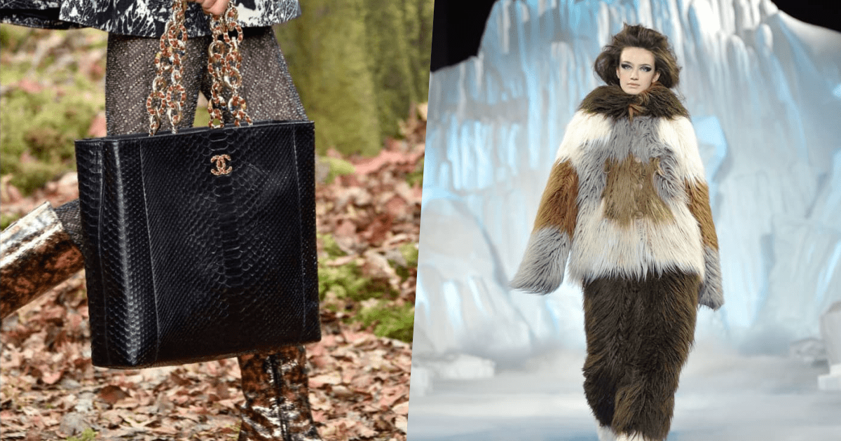 # 商品陸續下架：法國奢侈品牌 Chanel 決定禁用皮草及野生動物皮革