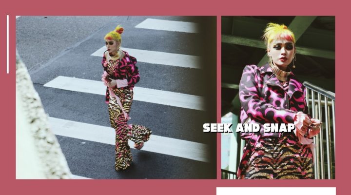 # Seek And Snap：只有穿上顏色後，才能感受到強烈的存在
