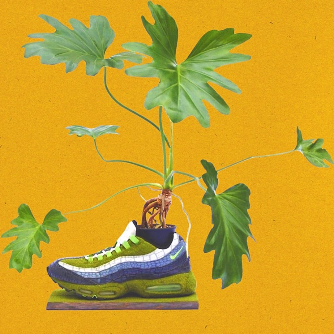 # Kosuke Sugimoto的鞋履植栽：賦予球鞋新生命 2
