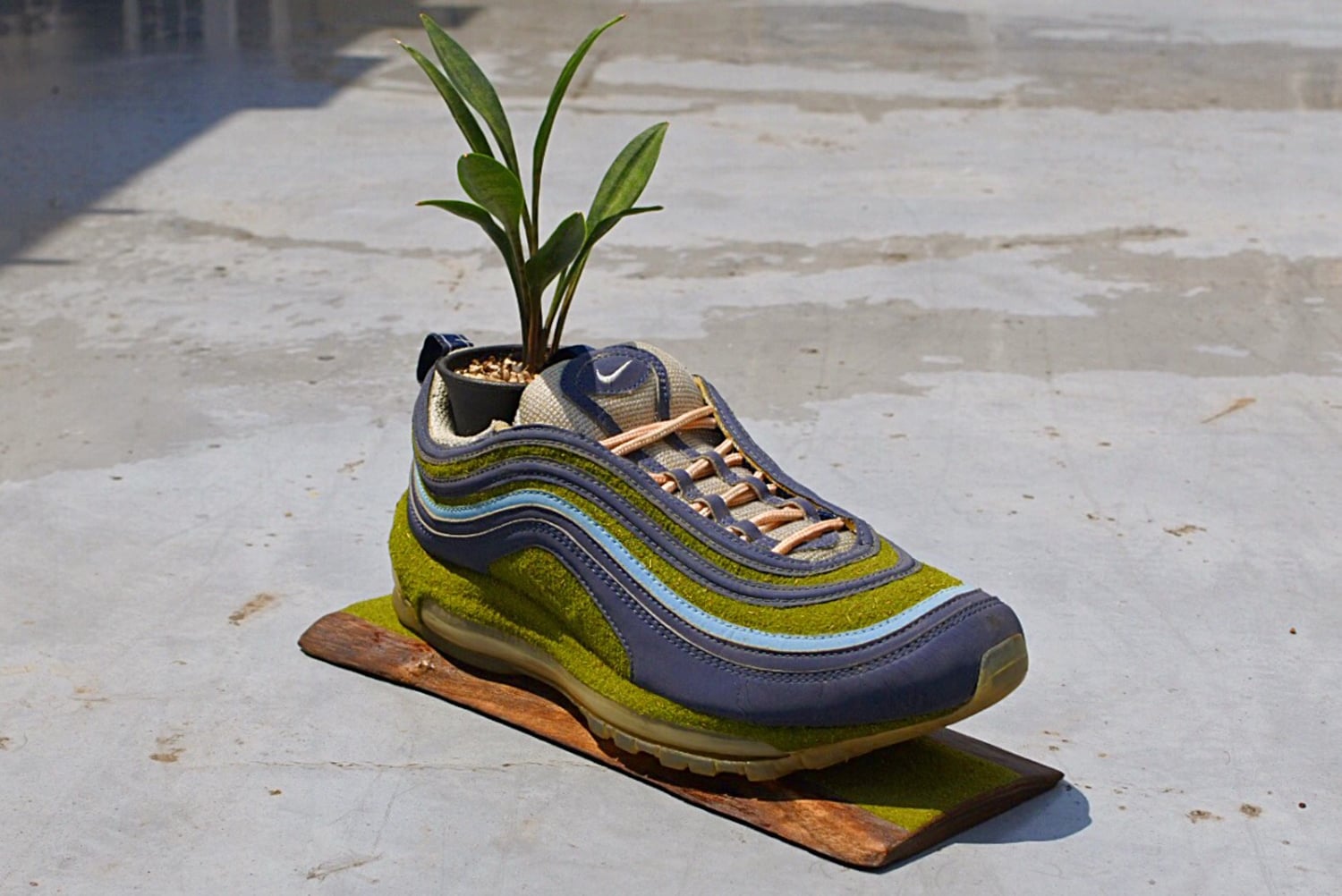 # Kosuke Sugimoto的鞋履植栽：賦予球鞋新生命 9
