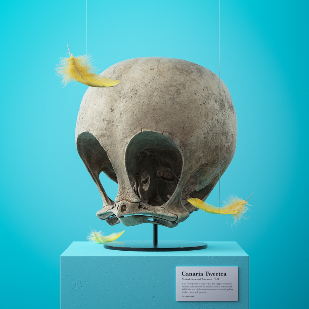 # 經典卡通化石系列：藝術家Filip Hodas創造逼真的頭骨 6