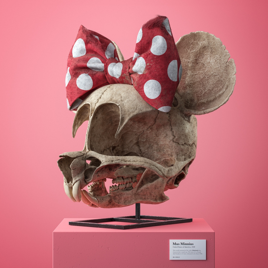 # 經典卡通化石系列：藝術家Filip Hodas創造逼真的頭骨 3