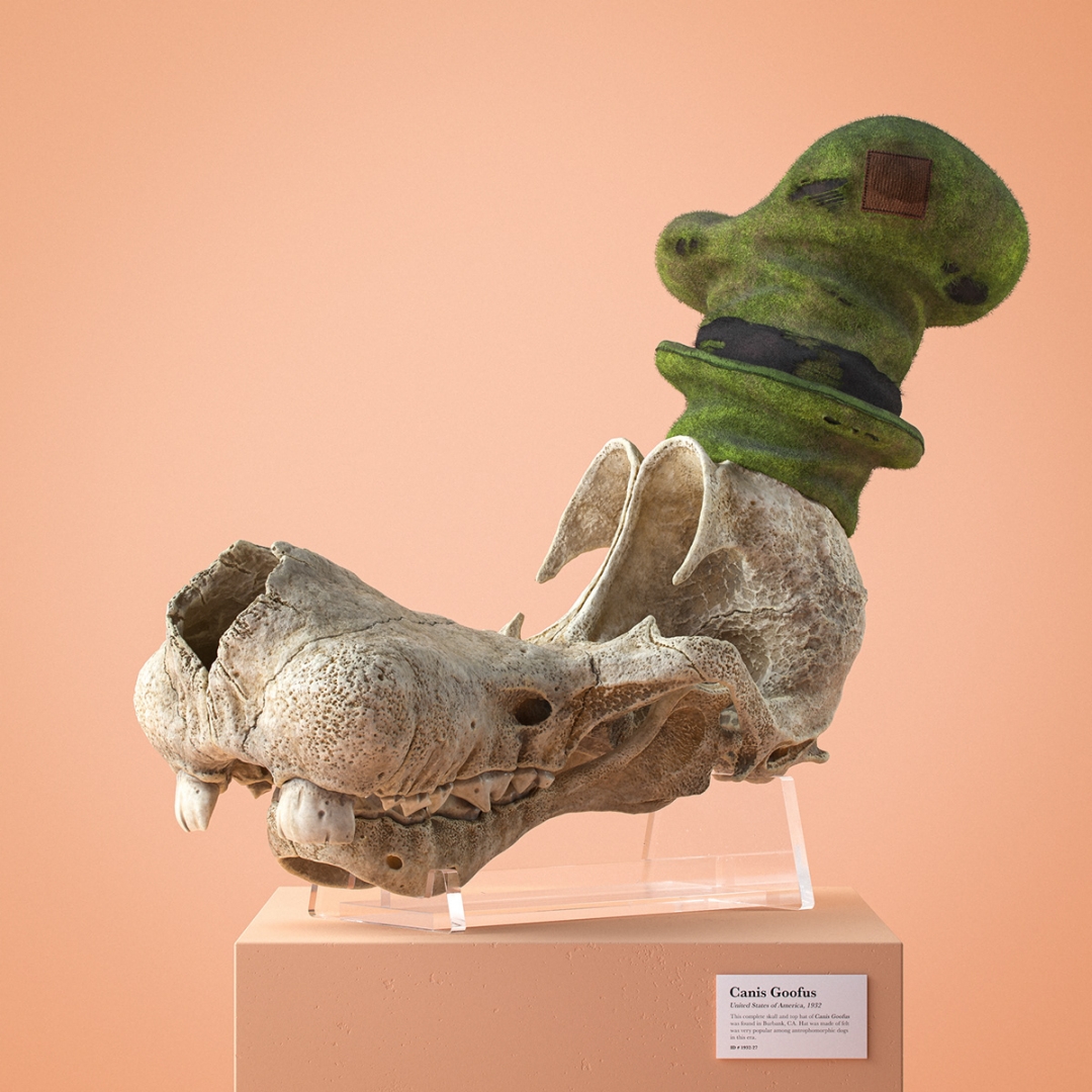 # 經典卡通化石系列：藝術家Filip Hodas創造逼真的頭骨 2