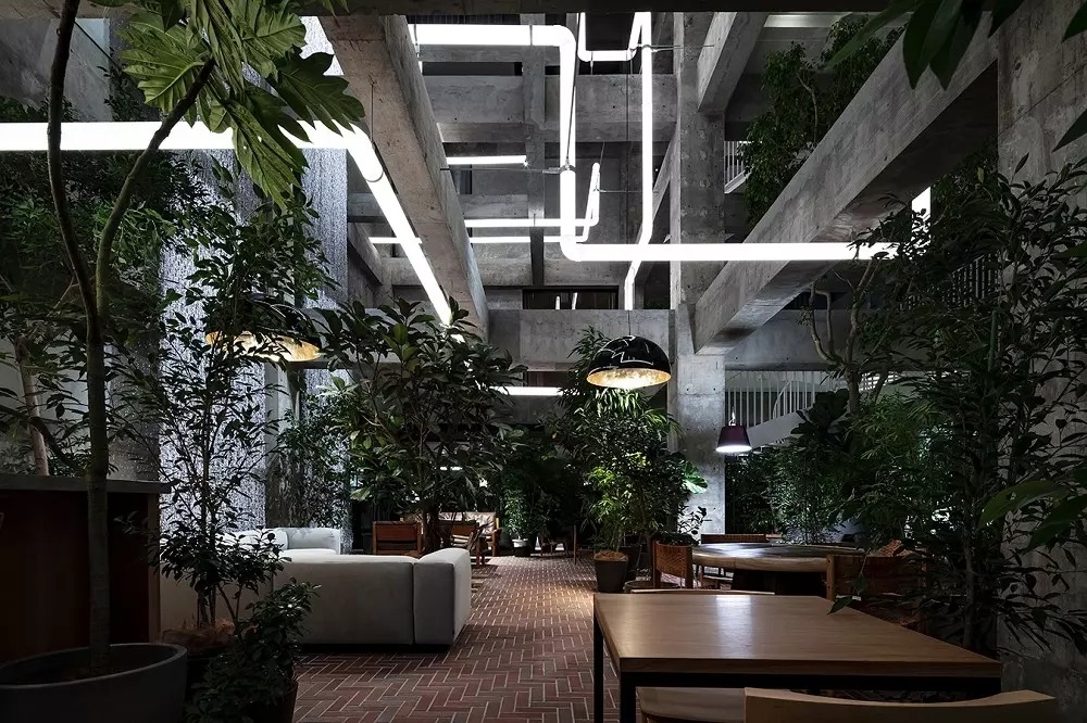# 日本自然派白色系建築師最新力作：將300年老飯店搖身一變，成為新銳藝術能量新地標 55