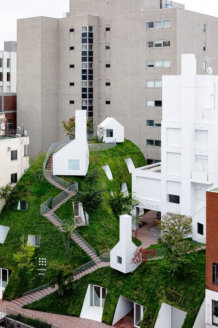 # 日本自然派白色系建築師最新力作：將300年老飯店搖身一變，成為新銳藝術能量新地標 3