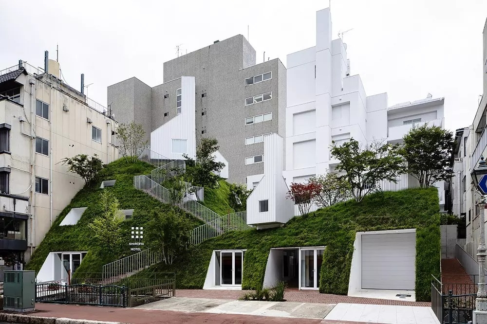 # 日本自然派白色系建築師最新力作：將300年老飯店搖身一變，成為新銳藝術能量新地標 1