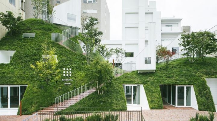 # 日本自然派白色系建築師最新力作：將300年老飯店搖身一變，成為新銳藝術能量新地標
