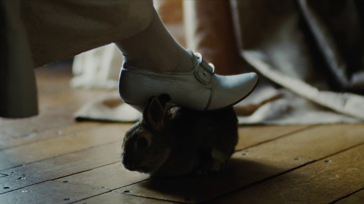 # 最可愛也最可怕的小動物：從《真寵》到《兔嘲男孩》，盤點四部保證讓你看到「兔」的電影！ 6